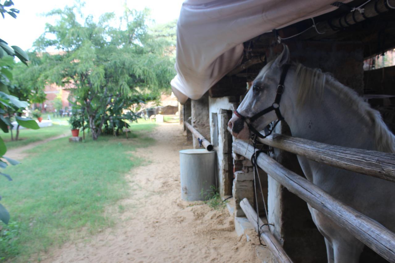 Shannu's Ranch Inn Pushkar Extérieur photo